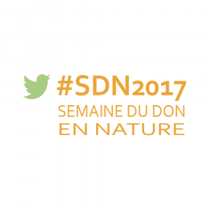 SDN